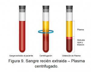 soluciones capilares